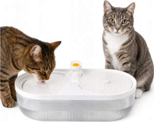 Cat Fountain Drinker 4 L Quiet