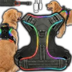 CE Dog Harness Backlit STRONG Durable