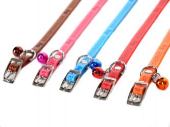 Collar For Small Dog Various Colors