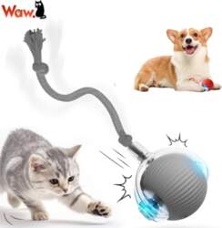 Interactive Cat Ball USB-C LED Automatic