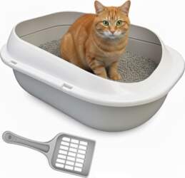 K&M LITTER BOX open for cat