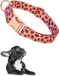 Large Dog Collar Adjustable with Strawberry