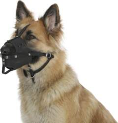 Leather muzzle for dog, 38 cm