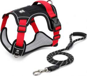No Pull Dog Harness and Leash