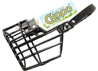 Physiological muzzle Chopo Cocker Spaniel Foksterier