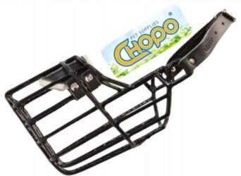 Physiological muzzle Chopo Rhodesian Ridgeback Dog