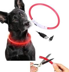 Red LED Cat Dog Collar |