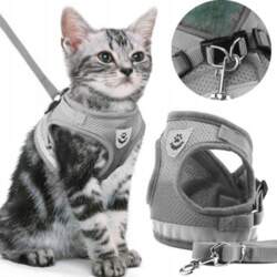 Reverse PRESSURE-FREE WALKING HARNESS ADJUSTABLE REFLECTIVE