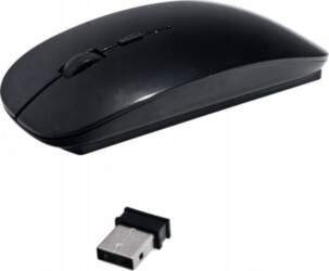 Slim Wireless Optical Mouse with Receiver