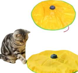 Toy interactive game for cat escaping