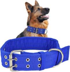 Webbing Collar For Large Dogs Thick