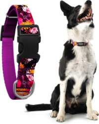 Adjustable collar for medium dog Marigold