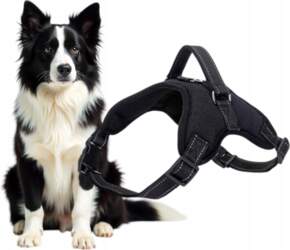 BLACK ADJUSTABLE DOG WALKING HARNESS BREATHABLE