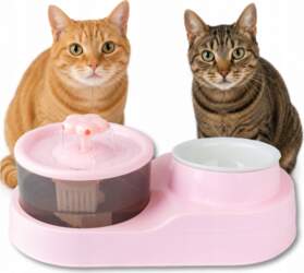 Cat Fountain Double Drinker with Ceramic