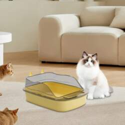 Cat Litter Box, Sturdy Plastic, Open