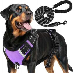 CE Dog Harness Adjustable with Handle