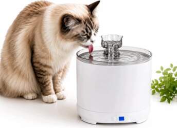 Dog Cat Drinker Fountain Wireless with