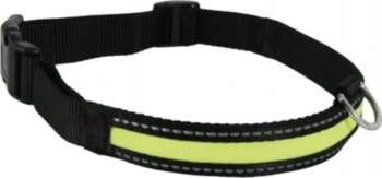 Dog collar glowing LED material adjustable