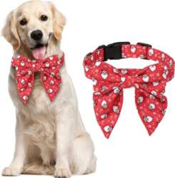 Dog Collar with Bow for Christmas