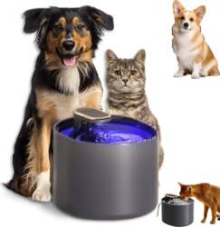 FOUNTAIN DOG CAT DRINKER 3L DRINKER