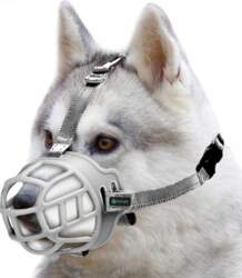 GREY PHYSIOLOGICAL SILICONE DOG MUZZLE LEPARK