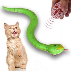 Interactive remote controlled hose for cat