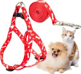 LEASH + HARNESS FOR CAT RABBIT