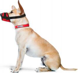Material muzzle for Small Dog adjustable