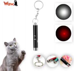 Mini Laser 3in1 with Flashlight Presentation