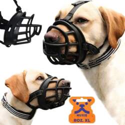 NUXIE Physiological muzzle for a dog