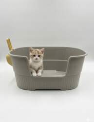 Open cat litter box with spatula