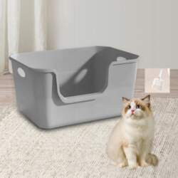 Open Top Cat Litter Tray Kitten