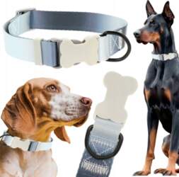 Quatro DOG COLLAR SOLID STRONG WEBBING