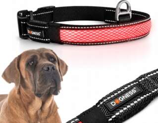 REFLECTIVE COLLAR LED adjustable STRIP solid