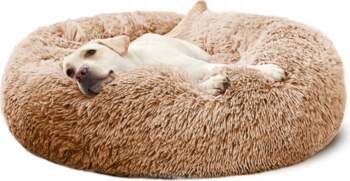 Reverse DOG BED, CAT, BED, MAT