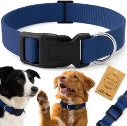 Reverse DOG WEBBING COLLAR SOLID YORK