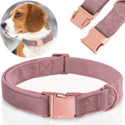 Reverse SOLID VELOUR DOG COLLAR ADJUSTABLE