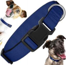 SOLID COLLAR FOR A LARGE DOG