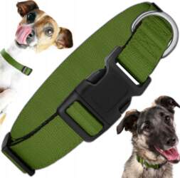 SOLID DOG COLLAR, STRONG, ADJUSTABLE WEBBING