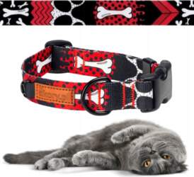 WEBBING adjustable collar for small kitten