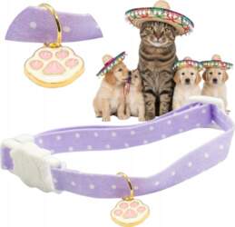 AmigoPets COLLAR WITHOUT BELL patterns for