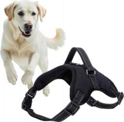 BLACK ADJUSTABLE DOG WALKING HARNESS BREATHABLE
