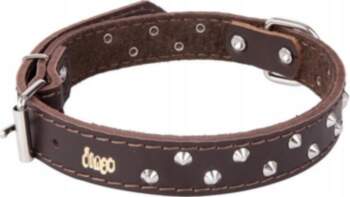 Brown leather dog collar with studs