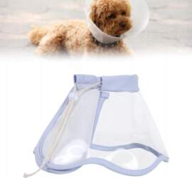 Cat Cone Soft Anti Biting Adjustable