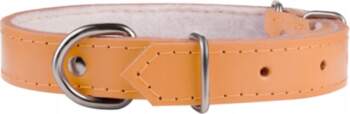 Chaba Leather Collar for Medium Dog