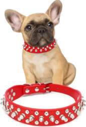 DECORATIVE LEATHER COLLAR WITH DOG STUDS