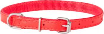 DINGO COLLAR FOR DOG BASIC 2
