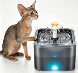 DRINKER WATER FOUNTAIN AUTOMATIC FOR CAT