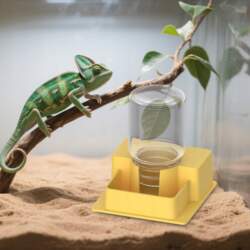 Efficient Reptile Water Feeder Automatic Drinking