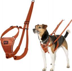 HALTI No Pull Harness – Anti-pull
